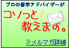 �����}�K�u����ŃX�b�L���@���w�E���[�L���O�z���f�[�̋^��v